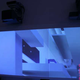 Illustration for article titled Sanyo PLC-XL50, Ultra Short Throw Projector